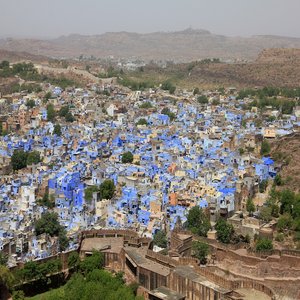 <span>Day 7</span> Jodhpur