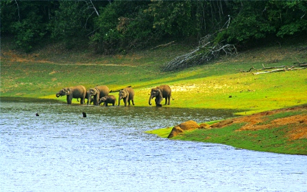 <span>Day 4</span> Thekkady