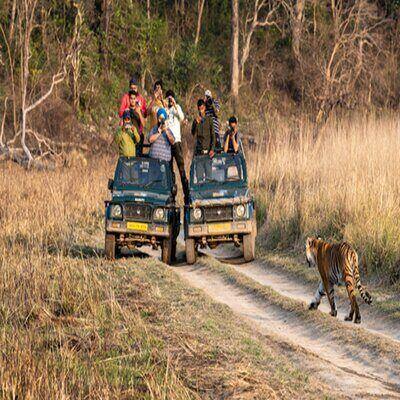 <span>Day 2</span> Ranthambore