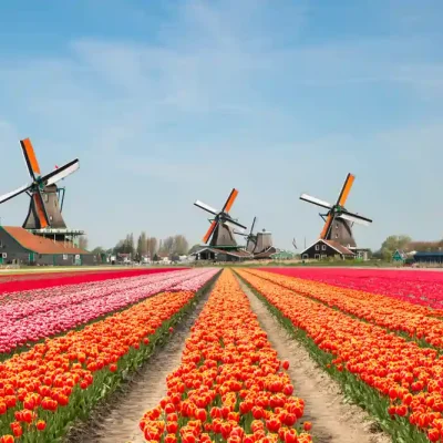Europe