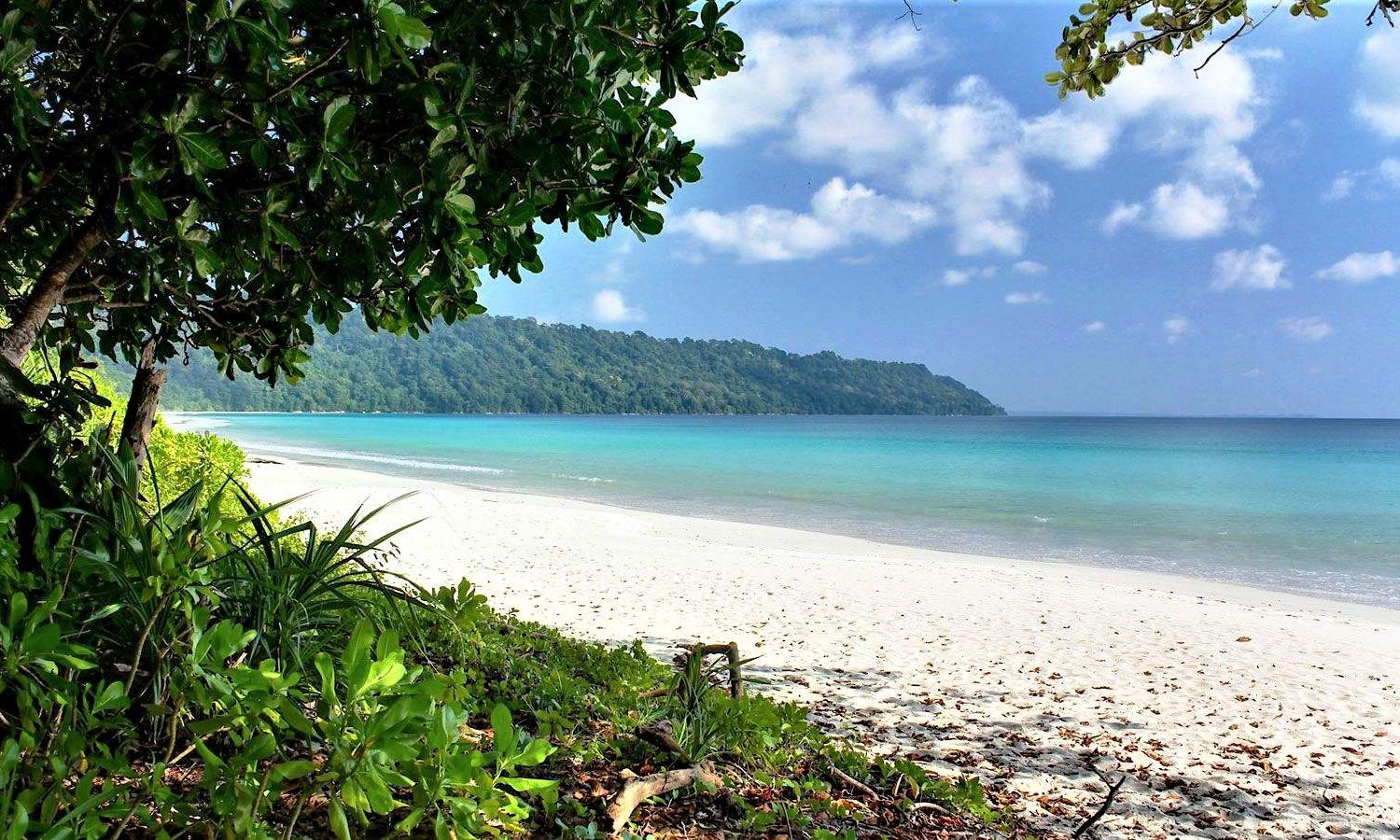 <span>Day 2</span> Havelock Island