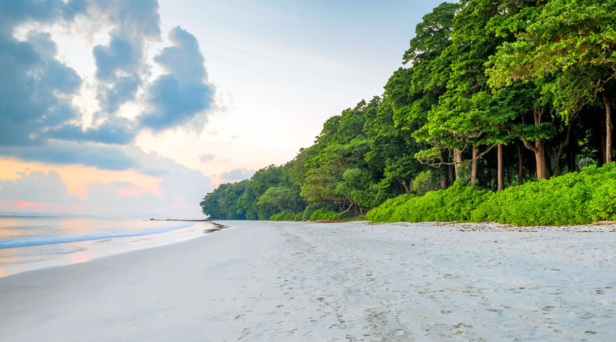 <span>Day 3</span> Havelock Island