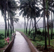 <span>Day 3</span> Goa