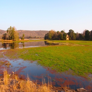 <span>Day 3</span> Ranthambore