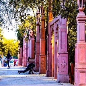 <span>Day7</span>Udaipur 
