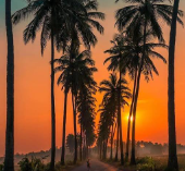 <span>Day 3</span> Goa