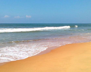 <span>Day 3</span> Goa