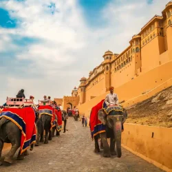 web_gallery17218044981198Jaipur(2)
