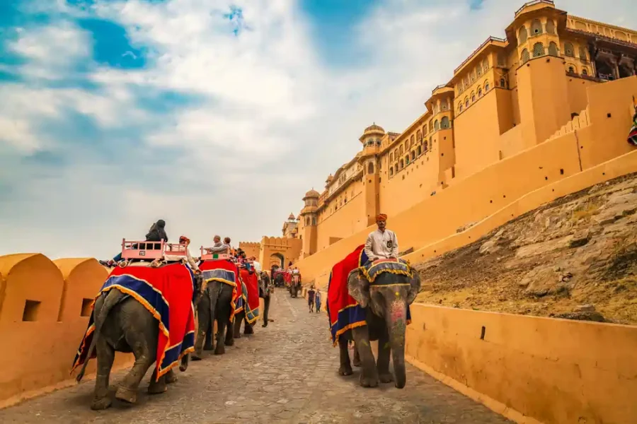 Delightful Rajasthan